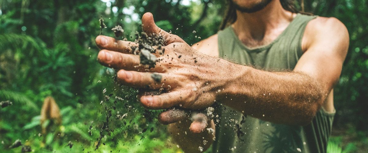 soil remediation web