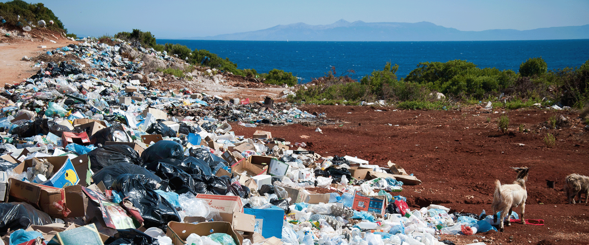 waste management landfill web